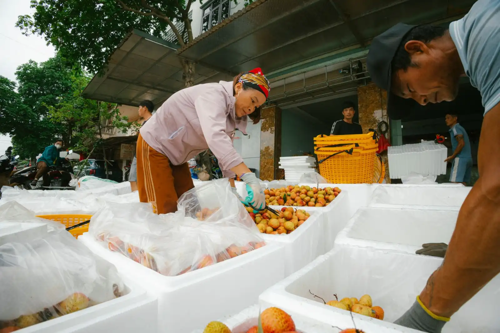 芯奇科技排课系统多维度功能对比与选型建议